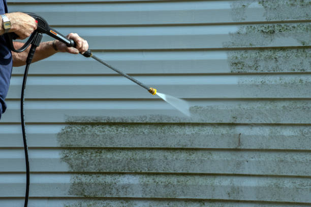Best Solar Panel Cleaning  in Walled Lake, MI