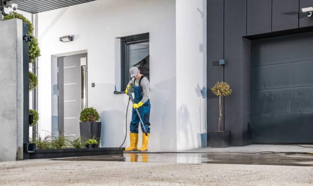 Best Building Exterior Washing  in Walled Lake, MI